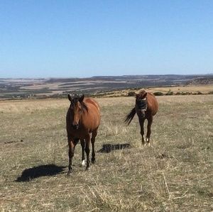Meet your Posher, Lee